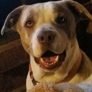 Meet your Posher, Mark